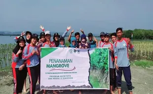 Joss! SMAN 8 Semarang Tanam 1.700 Bibit Mangrove di Pantai Mangunharjo