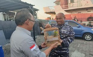 Terciduk! Penyelundupan 50 Burung Dilindungi Digagalkan di Tanjung Emas