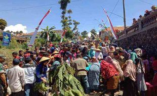 Luar Biasa! Festival Tungguk Tembakau Boyolali Dihadiri Ribuan Orang