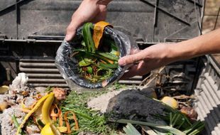 Ketahui Dampak Buruk Sampah Makanan terhadap Lingkungan