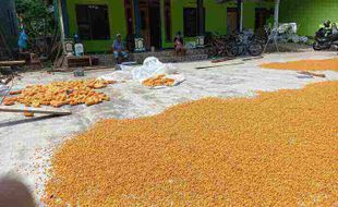 Marning Jagung Bikinan Warga Tulung Klaten Disukai Anak-Anak hingga Orangtua