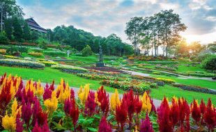 Ini Arti Mimpi Melihat Taman yang Sangat Indah