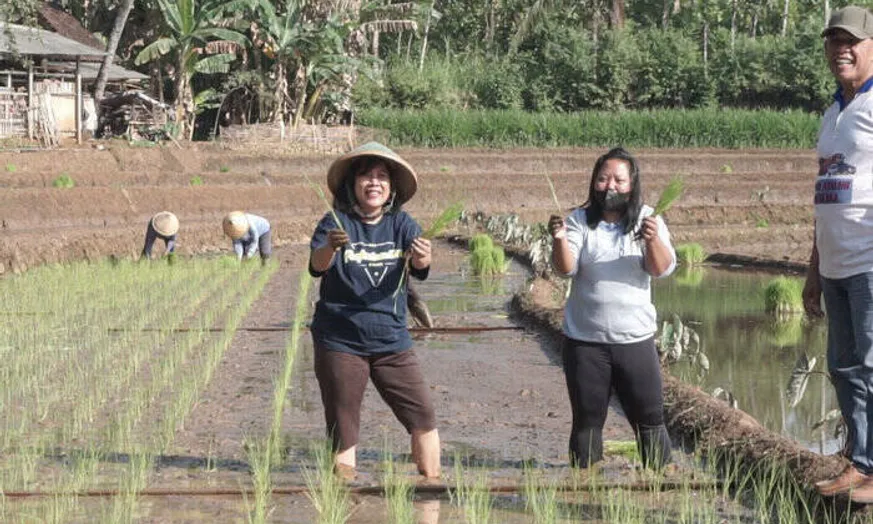 Tim UKSW Kenalkan Pertanian Organik di Dusun Dompon