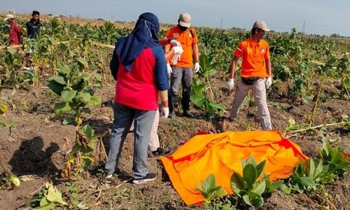 Warga Tanggungharjo Ditemukan Meninggal di Ladang Tegowanu, Diduga Karena Ini