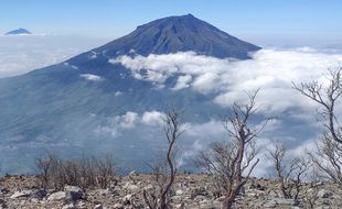 Jalur Pendakian Gunung Sumbing, dari Terpopuler hingga Teranyar