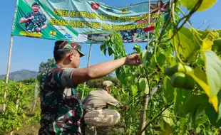 Danrem dan Perum Jasa Tirta I Dukung Penanaman Kacang Kaya Manfaat di Wonogiri