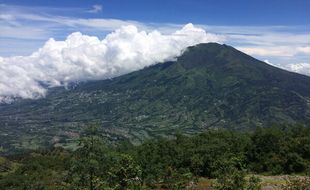 Penyebab Kebakaran Masih Diselidiki, BTNG Merbabu Sebut Area Terbakar 0,98 Ha