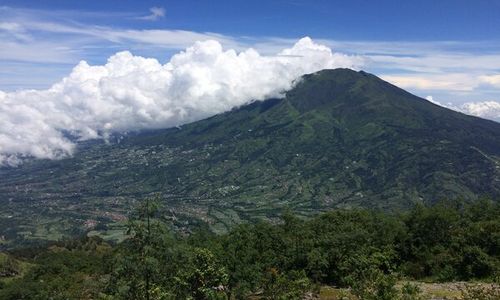 Penyebab Kebakaran Masih Diselidiki, BTNG Merbabu Sebut Area Terbakar 0,98 Ha