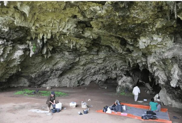 Jejak Manusia Karst dari Gua Kidang Blora