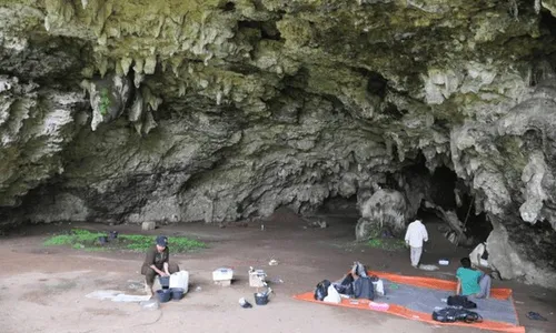 Jejak Manusia Karst dari Gua Kidang Blora