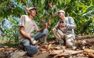 Start Up Koltiva Raih Pendanaan, Siapkan Fitur Permudah Petani Tembus Pasar