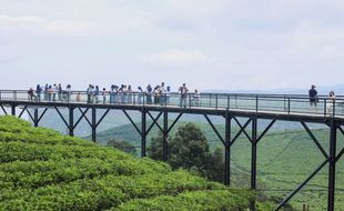 Nimo Highland, Wisata Hits di Bandung yang Mirip Santorini Yunani