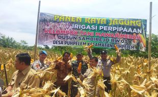 Berkat Irigasi Perpipaan, Petani Puhpelem Wonogiri Nikmati Panen Raya Jagung