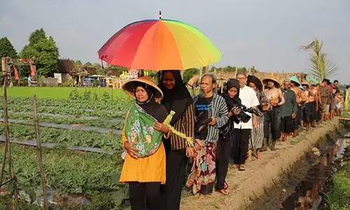 Laku Nabrak Omo, Ritual Petani di Delanggu Klaten Usir Hama Wereng