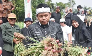 Profil Dedi Mulyadi, Anggota DPR RI yang Digugat Cerai Istrinya