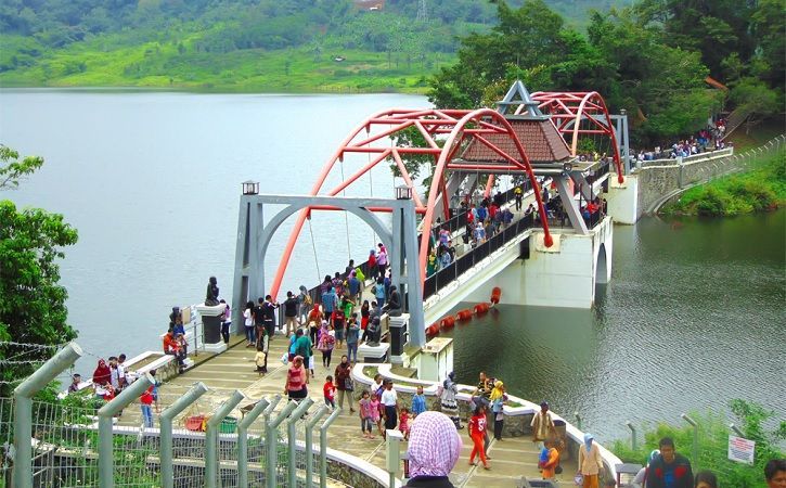 Penaklukan Kera Raksasa di Gua Kreo Gunungpati Semarang