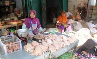 Dipengaruhi Harga Pakan, Harga Daging Ayam di Solo Sentuh Rp38.000/Kg