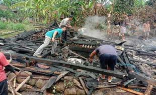 Dapur dan Kandang di Pabelan Semarang Terbakar, 4 Kambing Terpanggang