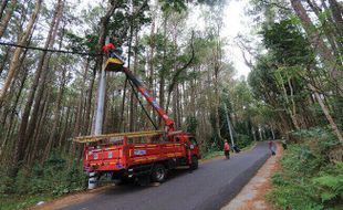 PLN Ikut Sukseskan Jambore Standupindo di Hutan Pinus Mangunan Yogyakarta