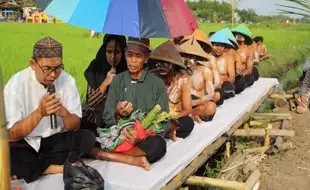 Ikhtiar Terbebas Dari Wereng, Petani Delanggu Klaten Gelar Ritual