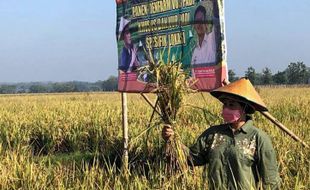 Kementan Didesak Turun Tangan Atasi Masalah Pertanian di Sragen