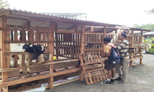 Walah! Sukoharjo Agropolitan Expo Bawa Kambing dan Kandangnya ke Kompleks Mal