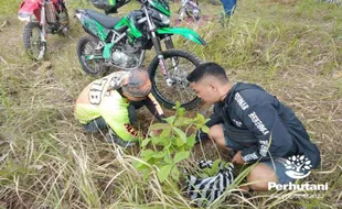 Perhutani Bersama Komunitas Motor Trail Adakan Penanaman Pohon di Klaten