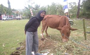 Jalan Sehat Bersama Bupati, Anak Yatim di Wonogiri Ini dapat Doorprize Sapi