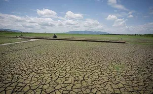 Jateng Panas Ngentang-ngentang, Debit Air di 25 Waduk Menyusut Drastis