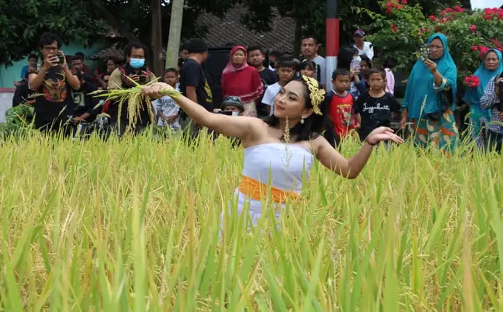 Festival Mbok Sri Delanggu Klaten Digelar 3 Hari, Ada Wiwitan dan Layar Tancap