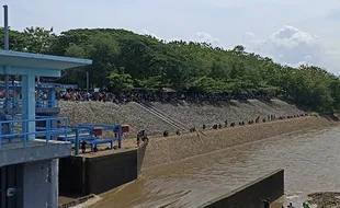 Dam Colo Nguter Sukoharjo Ditutup, Ratusan Warga Ramai-Ramai Cari Ikan