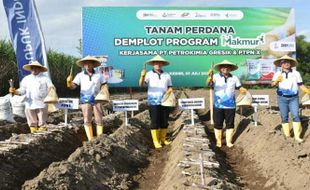 Program Makmur Bikin Petani Tebu Tak Lagi Pusing Soal Bibit, Pupuk & Modal