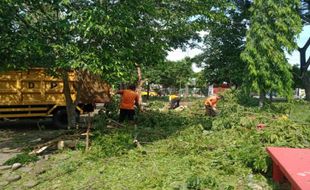 Musim Hujan, Dinas Lingkungan Hidup Wonogiri Gencarkan Pemangkasan Pohon