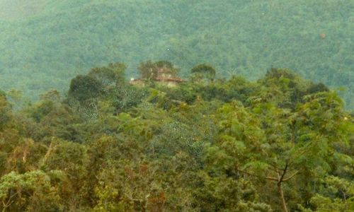 Saking Rajin Erupsi, Merapi Dipantau Hindia Belanda Lewat Empat Pos