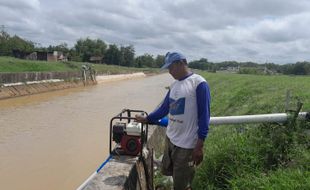 Petani Wonogiri Sudah Tak Risaukan Pengeringan Saluran Irigasi Colo Barat