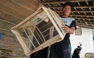 Berkat Doa Ibu, Perajin Sangkar Burung di Klaten Ini Mengaku Terus Beruntung