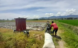 Berkat 4 Sumur Dalam, Petani di Jaten Wonogiri Tak Lagi Waswas Kesulitan Air