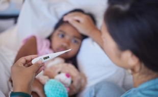 Waspada Virus JE! 5 Anak di Kulonprogo Suspek JE, Satu Orang Meninggal