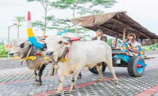 Ini Fasilitas di Obelix Village Sleman, Ada Little Zoo hingga Sungai Estetik