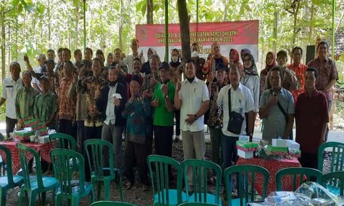 Perhutani Solo-Kejari Sragen Sosialisasi Pemanfaatan Lahan, LMDH: Kami Aman