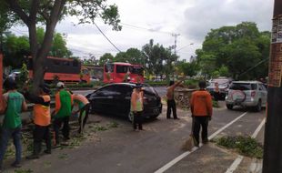 Angin Kencang, Pohon di Jl Kolonel Sutarto Jebres Solo Tumbang Timpa Mobil