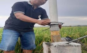 Gantikan Diesel & Gas, Listrik PLN untuk Irigasi Sawah Bikin Petani Lebih Cuan