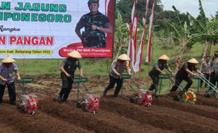 Perkuat Ketahanan Pangan, Kodam IV/Diponegoo Tanam Jagung Seluas 10 Hektare