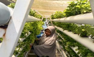 Manfaatkan Lahan Terbuka, Pemkot Dorong Warga Solo Galakkan Urban Farming