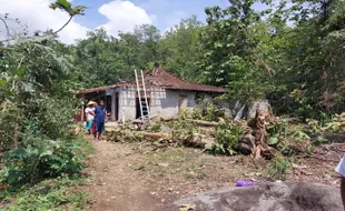 Marak Hujan Angin hingga Pohon Tumbang, Begini Pesan BPBD Sukoharjo