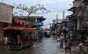 Banjir Rob Rendam Permukiman Warga Muara Angke Jakarta Utara