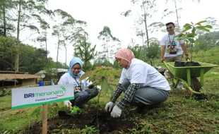 Getol Terapkan ESG, BRI Gunakan Strategi Role Modelling Lewat Program Menanam