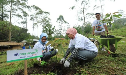 Getol Terapkan ESG, BRI Gunakan Strategi Role Modelling Lewat Program Menanam