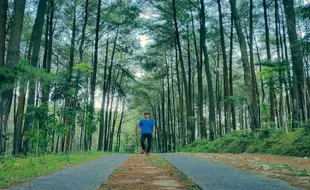 Hutan Pinus Bukit Suwondo Wonogiri, Lokasi Healing Murah Meriah di Akhir Pekan