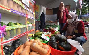 KTNA Agro Expo, Pamerkan Produk Unggulan Hasil Pertanian di Klaten